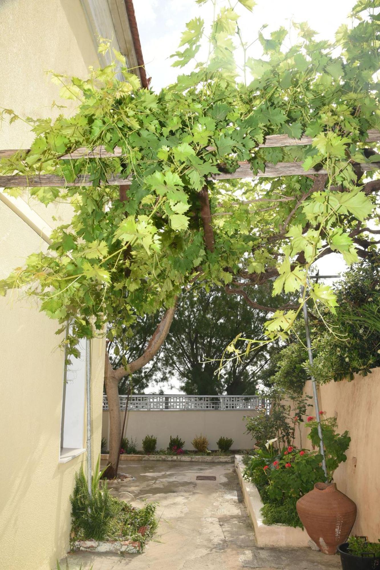 Blue Flag Award Winning Ormos Lo Beach: 1 Villa